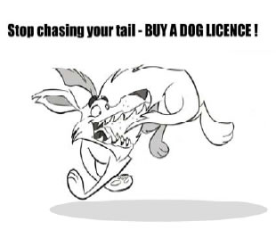 Buy a dog licence